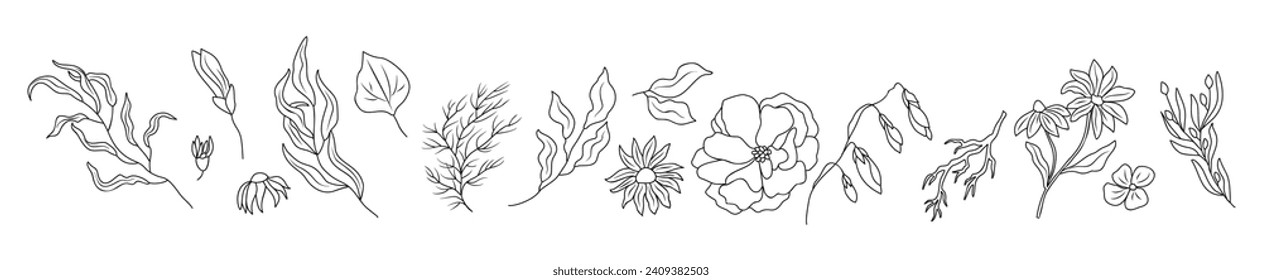 Set of wild flowers and leaves line art vector.