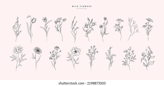 Set of wild flowers and leaves. Trendy botanical elements. Hand drawn line branches and blooming. Wedding elegant wildflowers for invitation save the date card. Vector trendy greenery