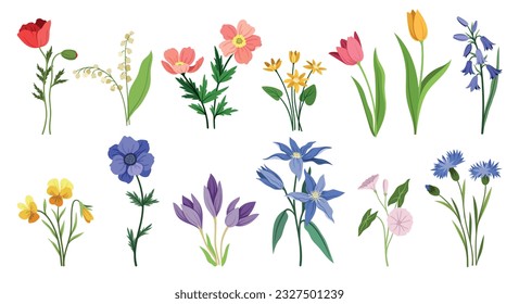 Set of wild flowers and plants. Blooming colorful violets and bluebells, lilies of valley and poppies, tulips and snowdrops. Botany, organic and herb. Cartoon flat vector isolated on white background