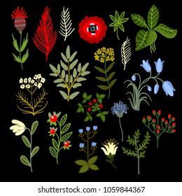 Set of wild flowers for textile design. vector  illustration.