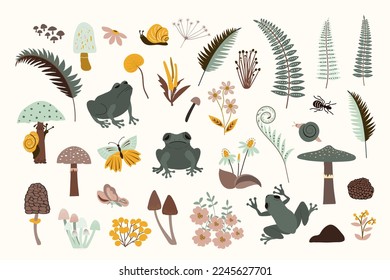 Set of wild forest flora and fauna images: frogs, ants, snails, insects, abstract plants and mushrooms. Vintage style, hand drawn. Poster, room interior decor, design textiles, postcard. 