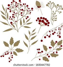 Conjunto de hierbas silvestres y plantas con bayas rojas, conjunto vectorial de elementos de diseño