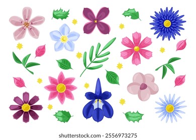 Set of wild and garden flowers. Chamomile, daisy, aster, lilac, plumeria, cosmos flower, lobelia flower, forget-me-not flower, lotus, lilawadee flower, lily. Spring and summer blossom plants.