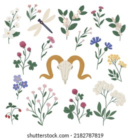 Set of wild grass decorative elements, mystical floral green witch clipart, magical forest clipart vector illustration isolated on white background