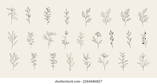 Set of wild grass, hand drawing, plant elements for design