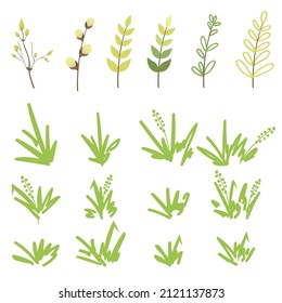 Set of wild herbs, herbs and cereals, young leaves and willow twigs, in doodle style, on a white background.
