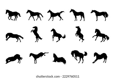 Set of wild horse silhouette with super detail design isolated on white background