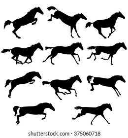 Set of wild horses. Vector horse collection. Silhouettes of horses. Collection of horse race, jump, run. Black and white vector illustration with eleven horses