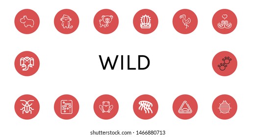 Set of wild icons such as Hippopotamus, Monkey, Bear, Cactus, Flamingo, Swans, Cockroach, Snake, Frog, Flea, Hump, Woodlouse, Wild life, Animal , wild