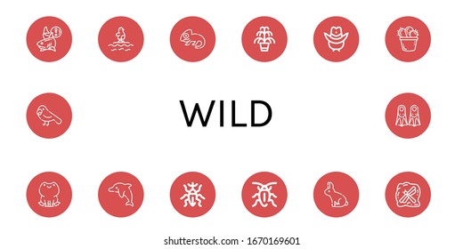 Set wild icons  Such as Shark  Penguin  Chameleon  Kentia  Cowboy hat  Cactus  Frog  Dolphin  Weevil  Cockroach  Rabbit  Insect  Parrot  Fins   wild icons