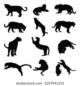 Set of wild jaguar silhouette vector illustration