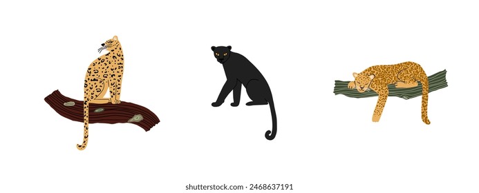 Conjunto de gatos salvajes de la selva. Naturaleza salvaje, animales, selva tropical. Ilustración vectorial dibujada a mano