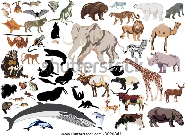 Set Wild Mammals Isolated On White Stock Vector (Royalty Free) 80908411 ...