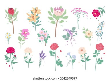 Set of wild meadow and garden flowers isolated on white background. Simple blooming flowers in flat cartoon style. Decorative floral design elements collection. Vector botanical illustration.