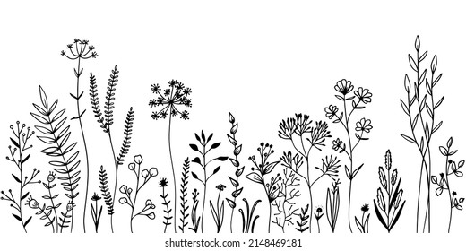 Set of wild meadow herbs and flowers. Hand drawn black vector illustration. Isolated elements for design.