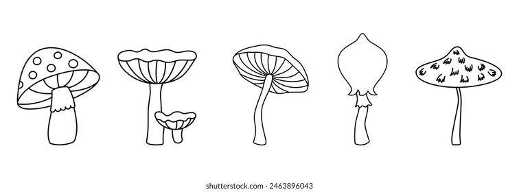 Set wild mushrooms on a white background, outline drawn vector illustration, 
Contour black line mushroom, cartoon style