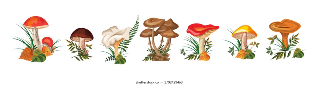 set of wild mushrooms. seven types of mushrooms on a white background. vector watercolor, horizontal format.
stock vector illustration. EPS 10.
