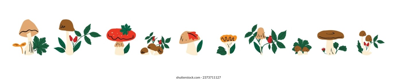 set of wild mushrooms. seven types of mushrooms on a white background. vector watercolor, horizontal format. stock vector illustration. EPS 10.