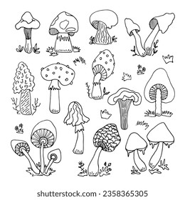 Set wild mushrooms, spore organism. Mycology. Poisonous, toadstools, different types of mushrooms. Plant. Mystical mushrooms. Doodle. Drawn by hand. Vector illustration. Outline.