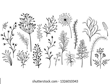 Set Wild Plants Black White Illustration Stock Vector (Royalty Free ...