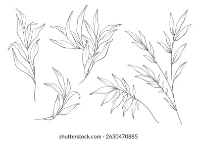Set of wild plants, branches, leaves. Vintage minimal hand drawn floral sketch in line art style. Botanical element design for greeting cards, wedding invitations, birthday, tattoo, save the date