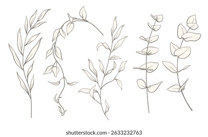 Set of wild plants, branches, leaves. Vintage minimal hand drawn floral sketch in line art style. Botanical element design for greeting cards, wedding invitations, birthday, tattoo, save the date