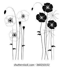 Set of wild plants, poppies and dandelions - vector