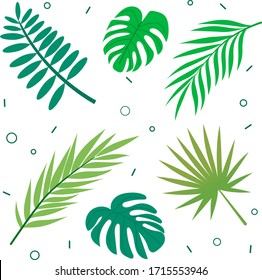 conjunto de hojas tropicales silvestres. Ilustración vectorial de las flores tropivales