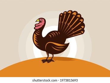 set of wild turkey vector illustration