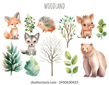 Set of wild watercolor forest animals. Green trees and plants. Woodland animals. Bear, fox, boar, hedgehog.