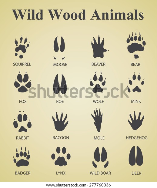 野生の木の動物の足跡のセット のベクター画像素材 ロイヤリティフリー