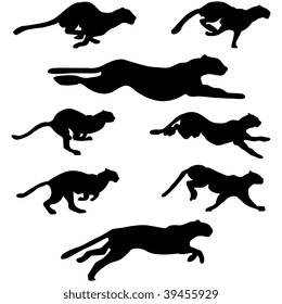 Set of Wildcats (Puma) Running Pose silhouettes. Run, Jump, Attack, Pursue, Chase. High Detail Smooth. Vector Illustration. 