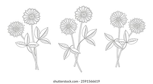 Set of wildflower bouquets. Bunches of blooming perennial wild plants. Line art, minimal style, contour. Botanical hand-drawn elements for design projects. Vector illustration