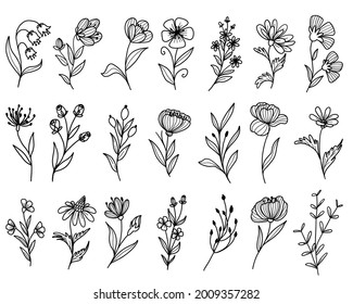 set of wildflower doodle line art with flower and leaves