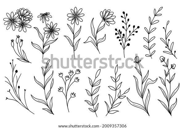 Set Wildflower Doodle Line Art Leaves Stock Vector (Royalty Free ...