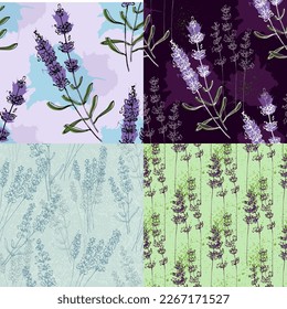 Set Wildflower lavender flower pattern in a one line style. Outline of the plant. Sketch wild flower for background, texture, wrapper pattern, frame or border.