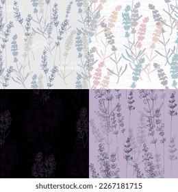 Set Wildflower lavender flower pattern in a one line style. Outline of the plant. Sketch wild flower for background, texture, wrapper pattern, frame or border.