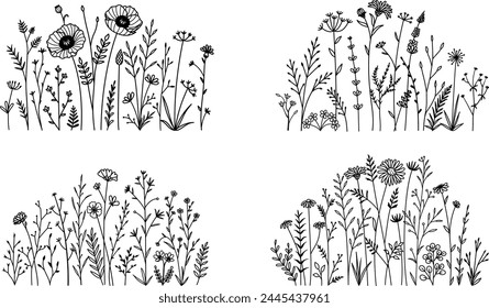 A set of wildflower meadows. Illustration Vector.