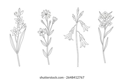 Conjunto de flores selvagens. Florescendo plantas selvagens perenes. Linhagem, estilo mínimo, contorno. Elementos botânicos desenhados à mão para projetos de design. Ilustração vetorial