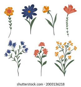 Set of wildflowers. Botanical collection. Wildflowers, herbs, leafs. Garden and wild foliage, flowers. Elegant spring plants for floristry, fabric, textile, greeting postcard. Vector illustrations.