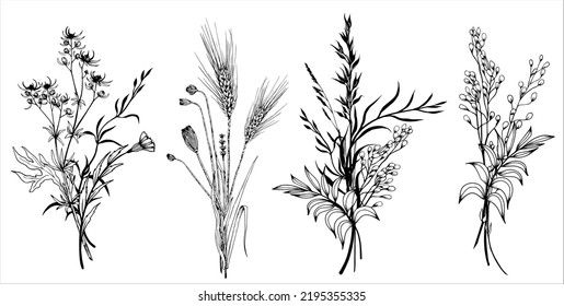 Set of wildflowers bouquets. Hand drawn black and white vector illustration.