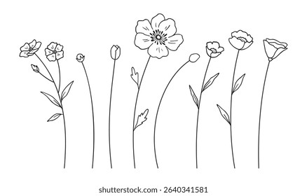 Set of wildflowers and buds, black line art style, white background. Hand-drawn various flowers and leaves. Wild plants for design projects. Vector illustration