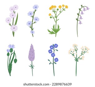 Set Of Wildflowers, Cute Wild Meadow Spring Blossoms of Blue, Yellow and Lilac Pastel Colors Which Add Vibrancy And Depth To Natural Setting Isolated On White Background. Cartoon Vector Illustration