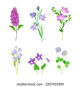 Set of wildflowers. Delicate blooming plants for floristry, fabric, textile, postcard design cartoon vector illustration