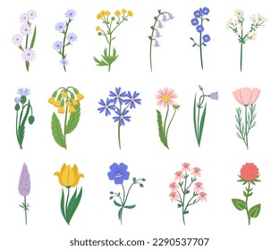 El Conjunto De Flores Silvestres Presenta Una Sorprendente Variedad De Colores, Incluida La Colección De Flores Púrpura, Rosa Y Amarilla, Y Flores Silvestres, Elementos Aislados Para Crear Un Paisaje Pintoresco. Ilustración del vector de dibujos animados