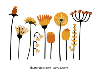 set with wildflowers. hand drawn flat vector illustration