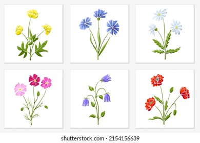 Flores silvestres aisladas en blanco. Esbozo dibujado a mano, flores praderas de color azul, rojo, amarillo y rosa. Elementos vectores para la ilustración de primavera y verano, patrones florales, impresión de pantalla.