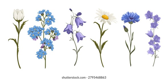 A set of wildflowers on a white background. Cornflowers, daisies, bellflowers, and forget-me-nots. Vector illustration
