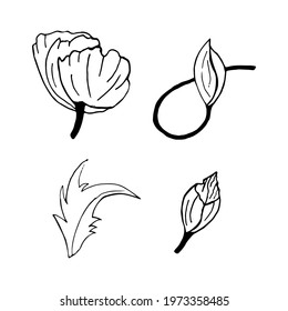  Set Wildflowers, Poppy, herbs, leaves. Summer collection. Graphics, doodle. Vector illustration on isolated white background. For decorating banner, wedding invitation, spring Print, poster, postcard