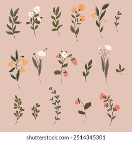 Set of wildflowers. Strawberry flower. Hand drawn vector illustration.